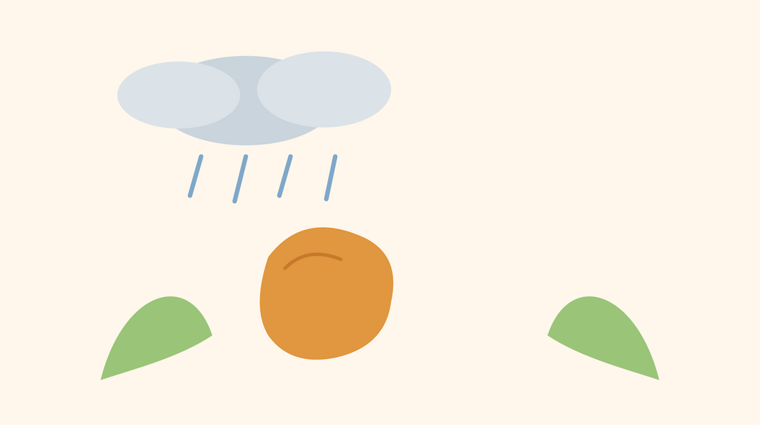 Monsoon Ke Baad Pet Kharab Kyun Hota Hai — Aur Kaise Bachein
