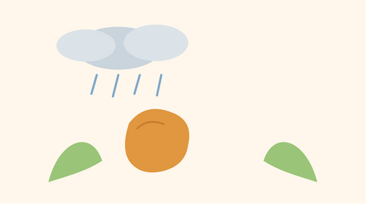 Monsoon Ke Baad Pet Kharab Kyun Hota Hai — Aur Kaise Bachein